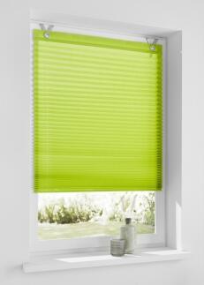 Raffrollo Plissee Olbia grün